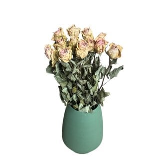 DriedRoses.com Rose Single | Pink Creamy | 50 cm | Per 12 stems