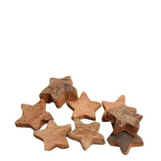 4A Kerst Deco ster coco d04.5cm x100