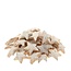 Kerst Deco ster coco d07cm x50