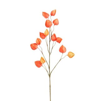 4A Kunstbloemen Physalis 76cm