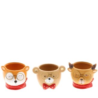 4A Ceramic Animal Flower Pot Cup | Colour: Assorted Colours | Autumn Decoration | Diameter 13 centimetres | Height 11 centimetres | Pack of 6 flower pots