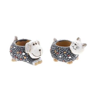 HBXD Pot Cat/Dog 2Ass L15.5W11H9