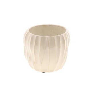 HBXD Pot Stripe Lofoten H10D11.7