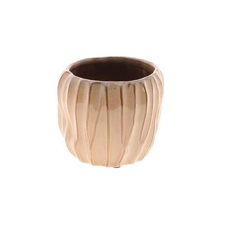 HBXD Pot Stripe Lofoten H10D11.7