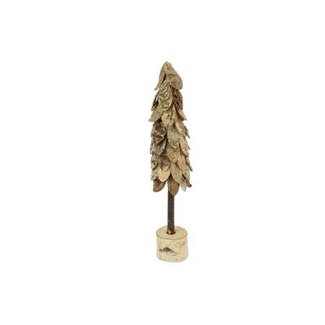 HBXD Tree Birch H30