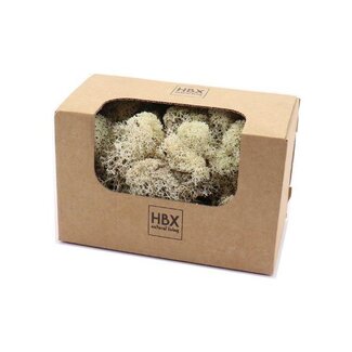 HBXD Moss Reindeer 50g