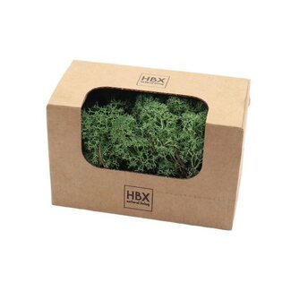 HBXD Moss Reindeer 50g