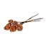 Bunch Poppy 6 Pcs L25