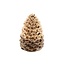 Cone Aura Gold H13.5D9