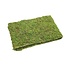 Sheet Asia L120W16