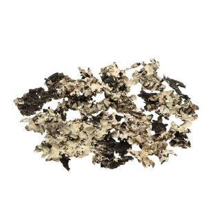 HBXD Blackmoss 250g