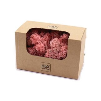 HBXD Moss Reindeer 50g
