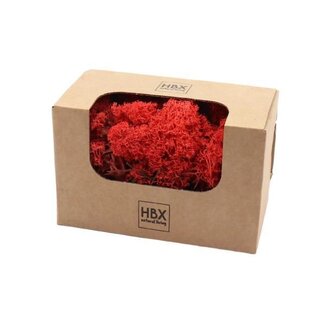 HBXD Moss Reindeer 50g