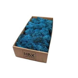 HBXD Moss Reindeer 500g