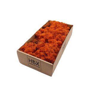 HBXD Moss Reindeer 500g