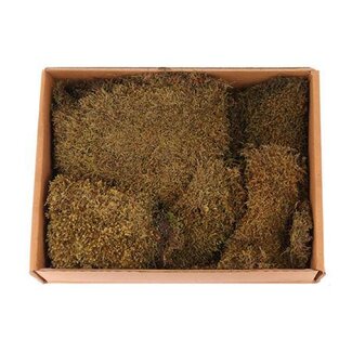 HBXD Moss Flat Pres. 350g