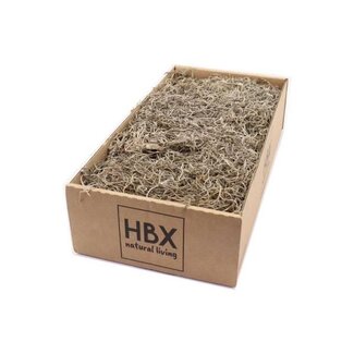 HBXD Moss Tillandsia 350g