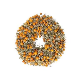 HBXD Wreath Solanum D23