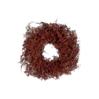 HBXD Wreath Asparagus D20
