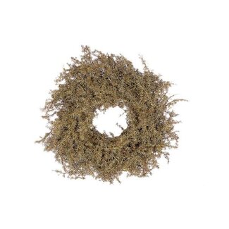 HBXD Wreath Asparagus Glitter D20