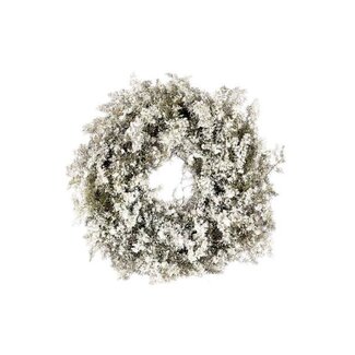 HBXD Wreath Asparagus Snow D20