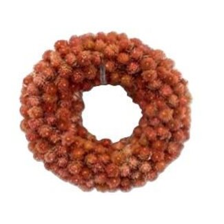 HBXD Wreath Gomphrena D20