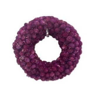 HBXD Wreath Gomphrena D20