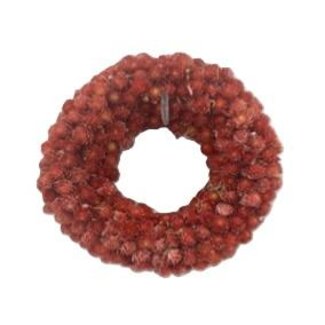 HBXD Wreath Gomphrena D15