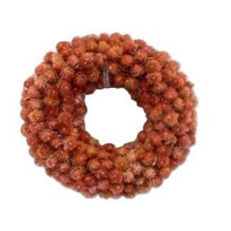 HBXD Wreath Gomphrena D15