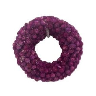 HBXD Wreath Gomphrena D15