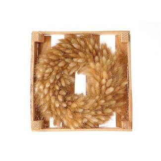 HBXD Wreath Lagurus D30