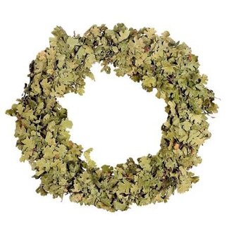 HBXD Wreath Quercus D50