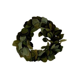 HBXD Wreath Eucalyptus Populus D35