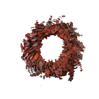 HBXD Wreath Eucalyptus Baby  D35