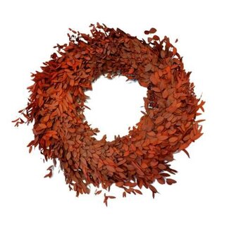 HBXD Wreath Eucalyptus Parvifoglia D35