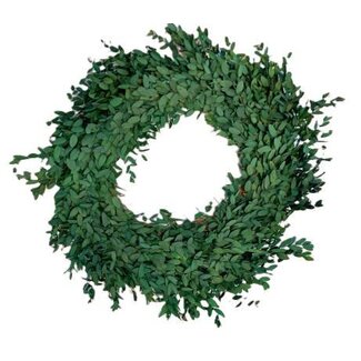 HBXD Wreath Eucalyptus Parvifoglia D35