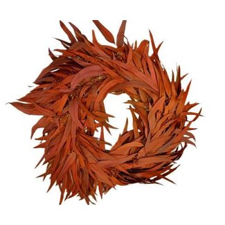 HBXD Wreath Eucalyptus Nicoly Berry D35
