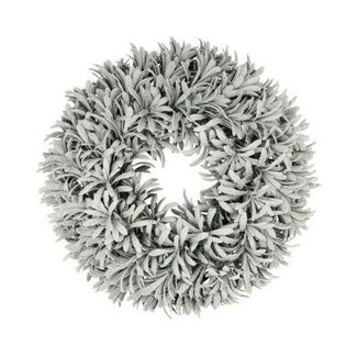 HBXD Wreath Juniperus H9D40