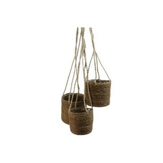 HBXD Basket Hanger Dash Grass H18D18 S3