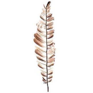 HBXD Stem Feather Aparani L80