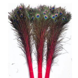 HBXD Feather Peacock L90/100 10pc/Bnd