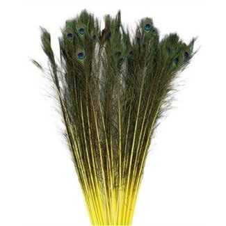 HBXD Feather Peacock L90/100 10pc/Bnd