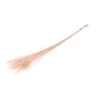 HBXD Feather Peacock L90/100 10pc/Bnd