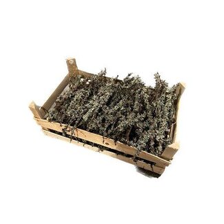 HBXD Crate Larix L50W30H20