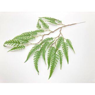 HBXD Stem Fern Leaves L70