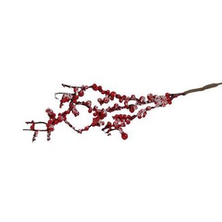 HBXD Branch Berry Bracea 5Pcs L30