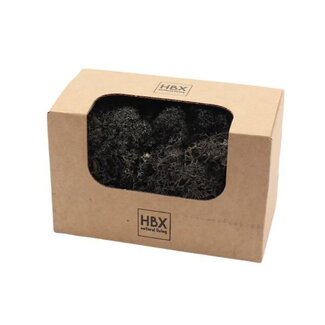 HBXD Moss Reindeer 50g