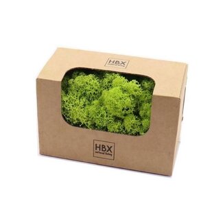 HBXD Moss Reindeer 50g