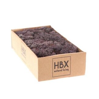 HBXD Moss Reindeer 500g