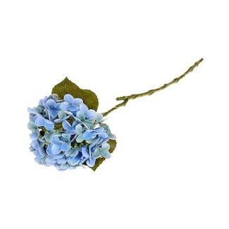 HBXD Stem Hydrangea L63